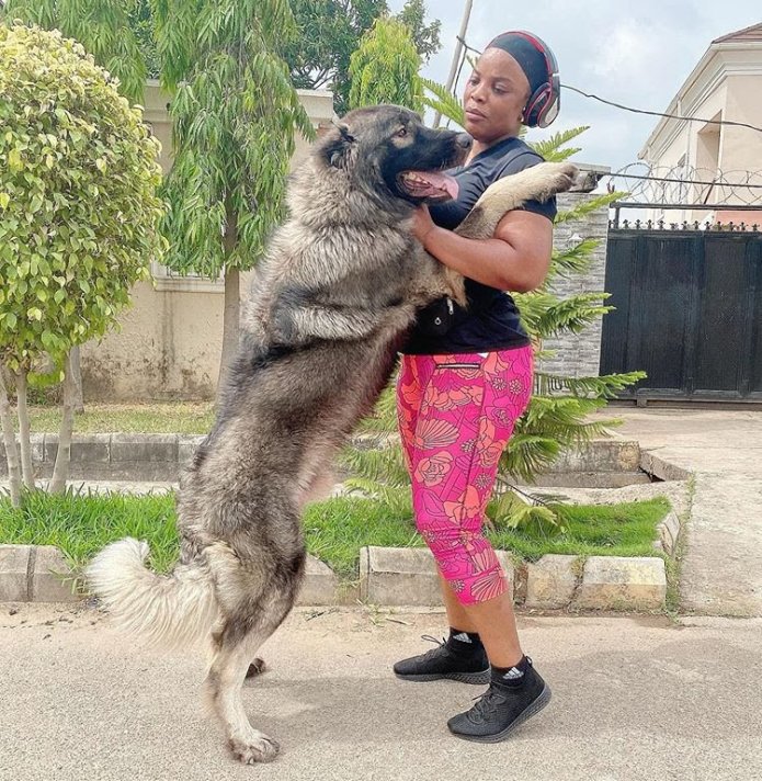 Yes, I have 10 dogs" – Actress, Empress Njamah confirms with photos of them - Valid Updates