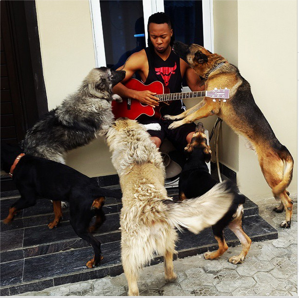 Flavour & his Many Dogs to Banky W & Duke, Toke Makinwa with Coco & Spice to Tonto Dike - Celebs & their 'Best Friends' in adorable PDA | BellaNaija