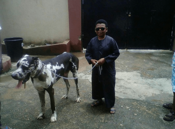 Checkout the Size of Osita Iheme's Dog