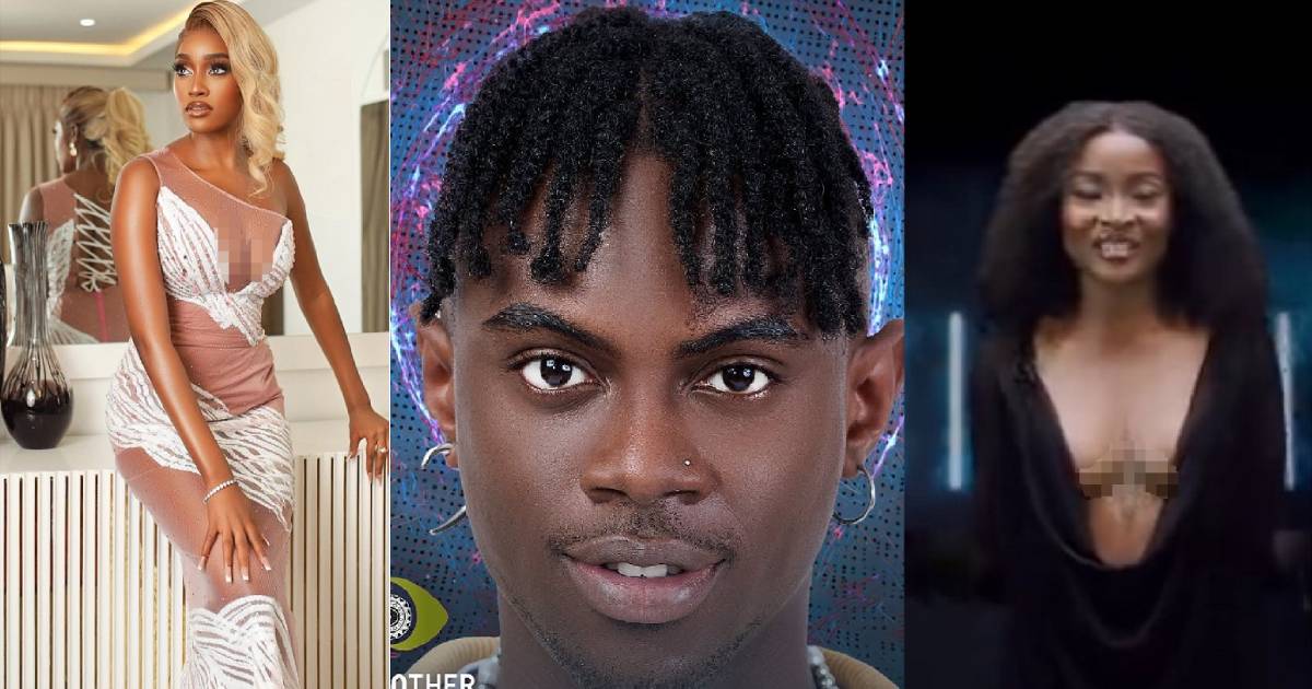 Meet All The Big Brother Naija Season 7 Housemates (Name, Age, State, Photos And Their Instagram)