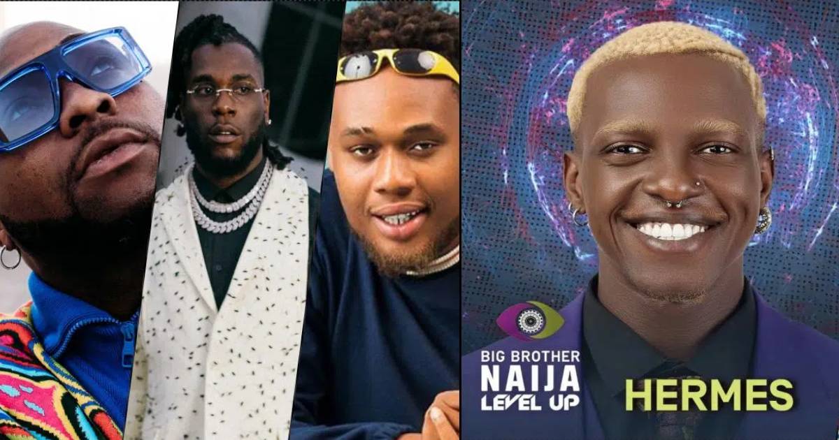 #BBNaija: Reactions as Hermes surface in Davido, Burna Boy’s music videos and others