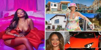 Rihanna Net Worth 2022, Age, Biography, Cars, And Houses